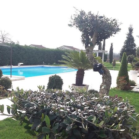 Agriturismo Sant' Isidoro Villa Anagni Kültér fotó
